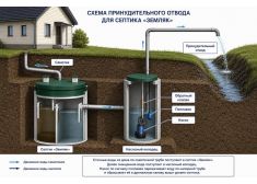 Зорде Рейн 8